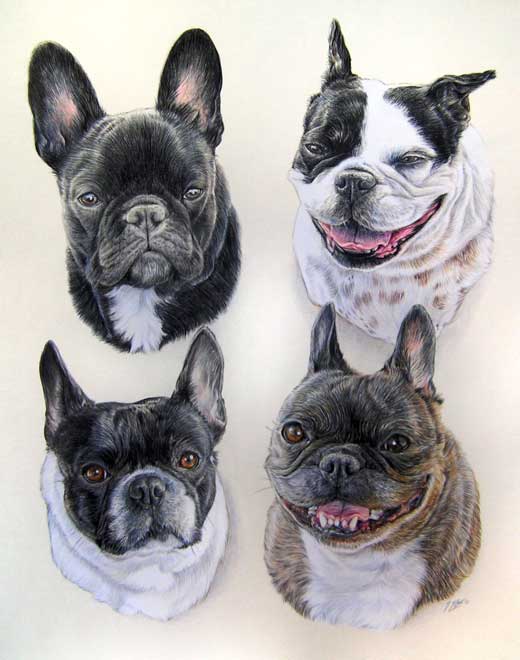 Composition en Tableau de quatre Bouledogues